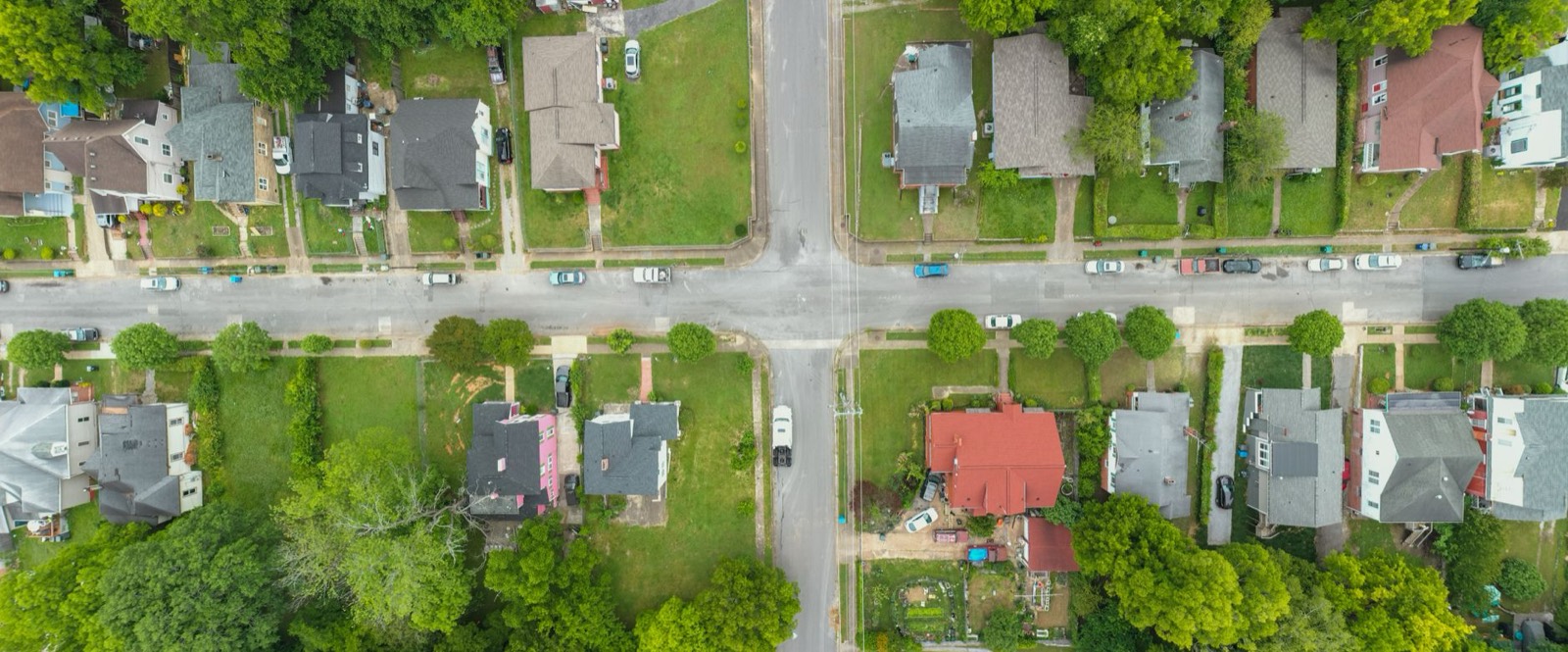 Tree-lined streets and roofs from above