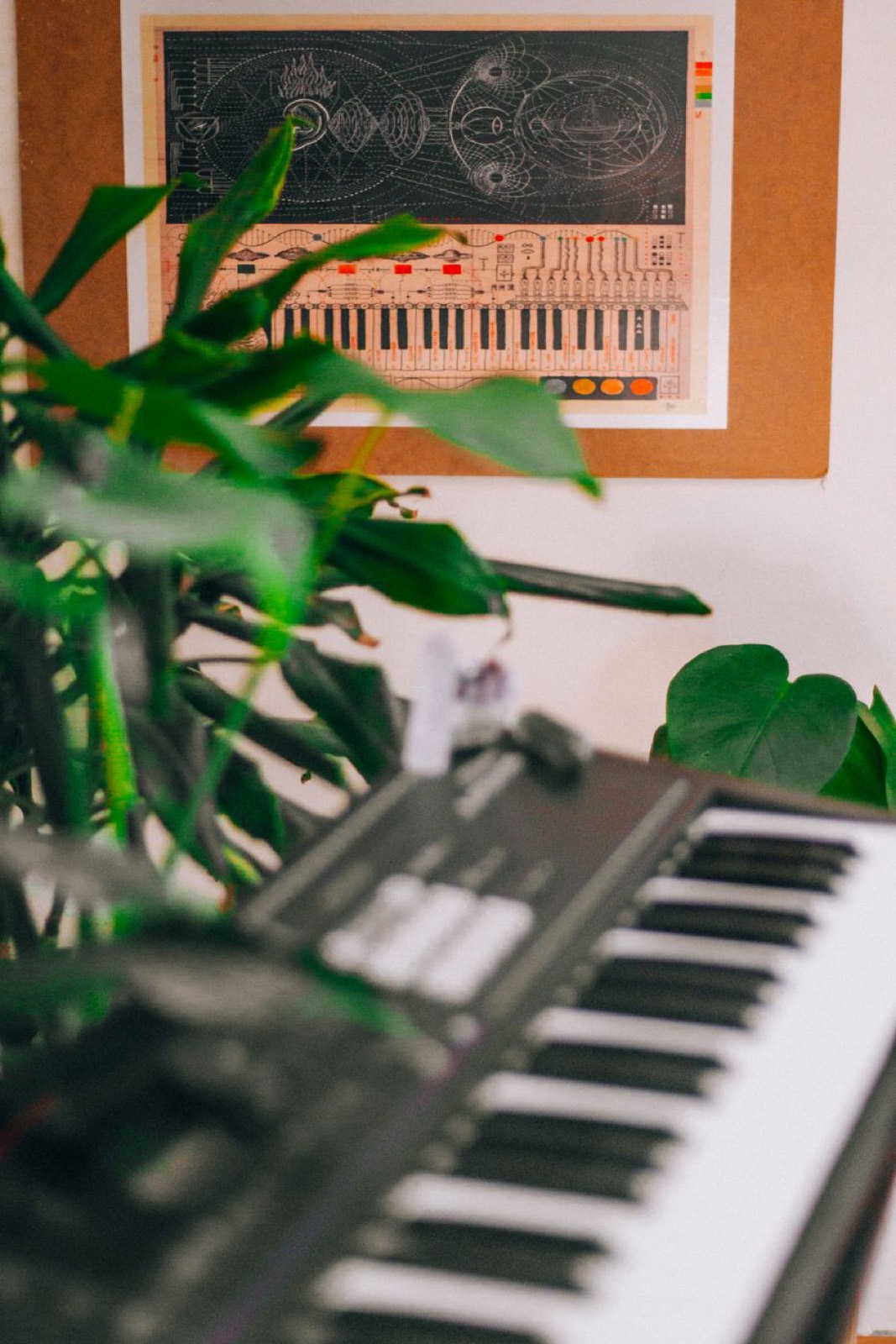 A keyboard beside a monstera in the rehearsal room