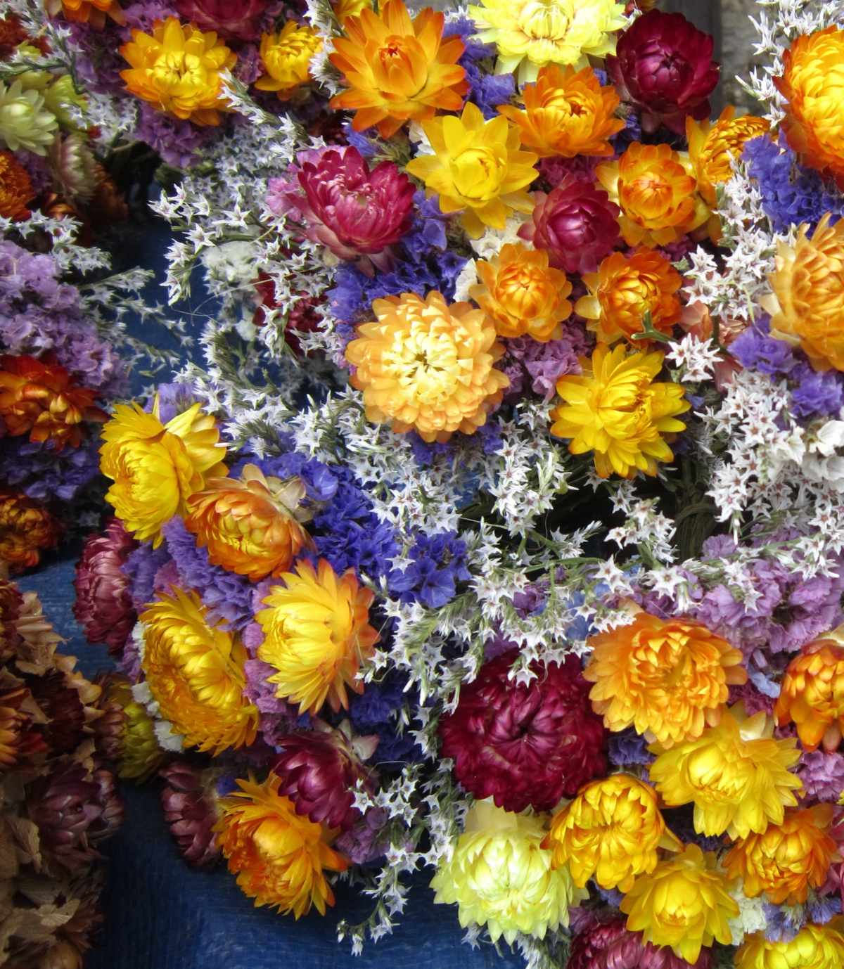 A dense bouquet of dried everlasting flowers in yellow, orange and violet