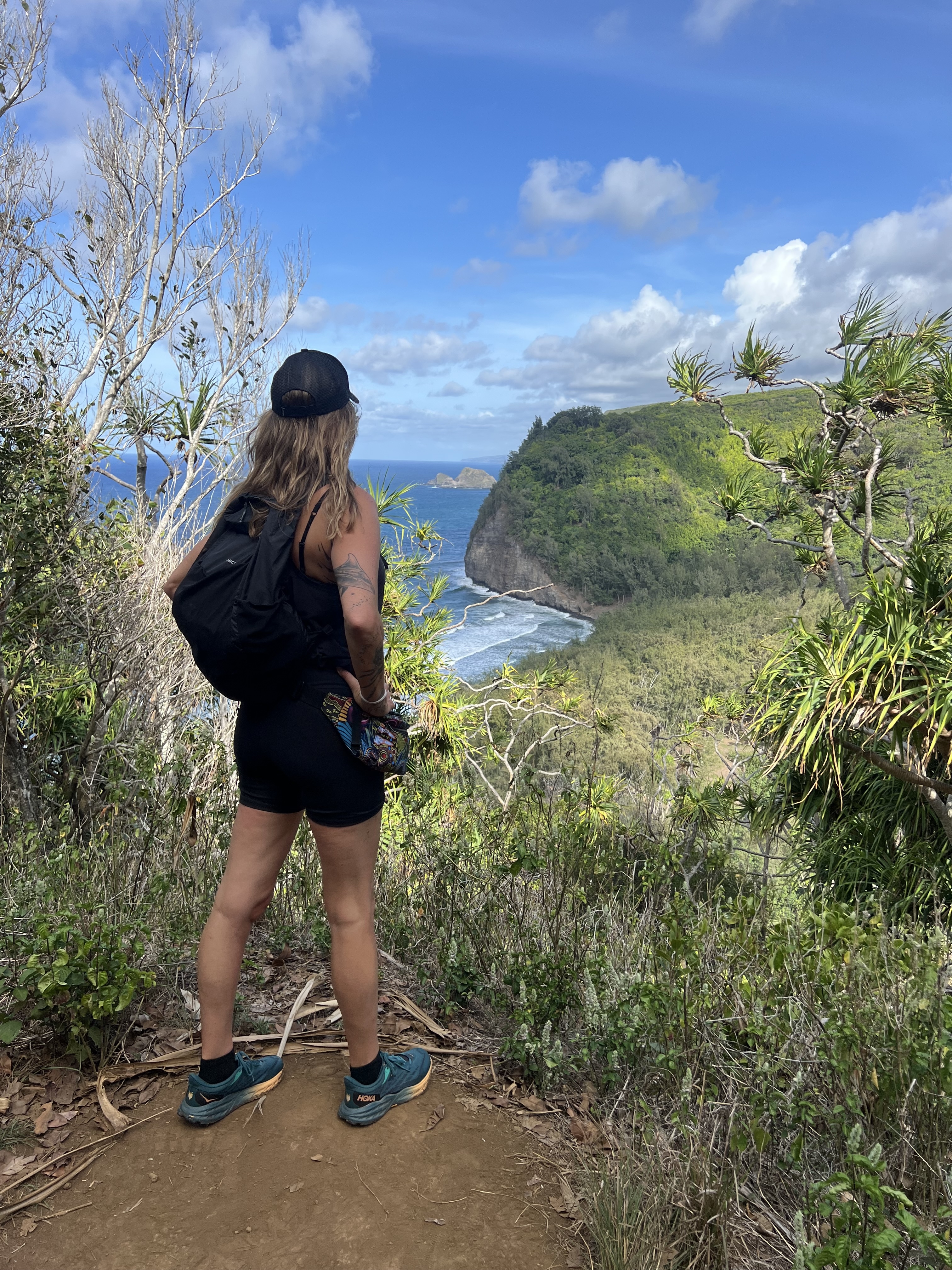 Hawaii coast